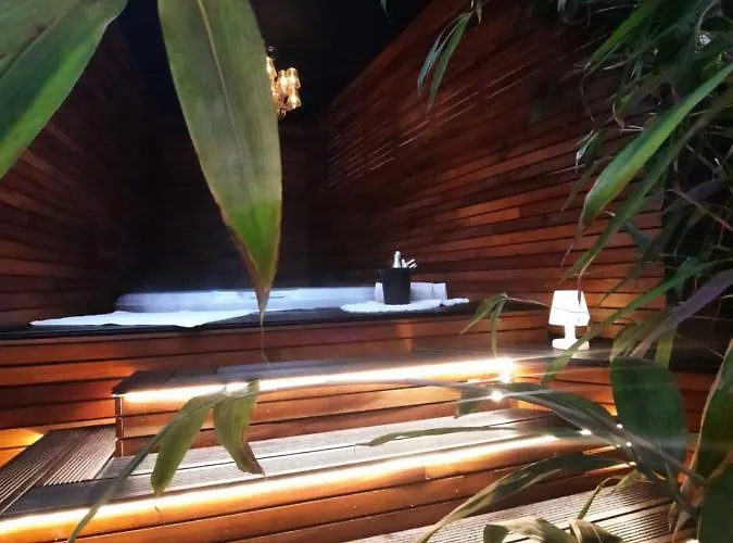 Bed and breakfast Jacuzzi Lieja